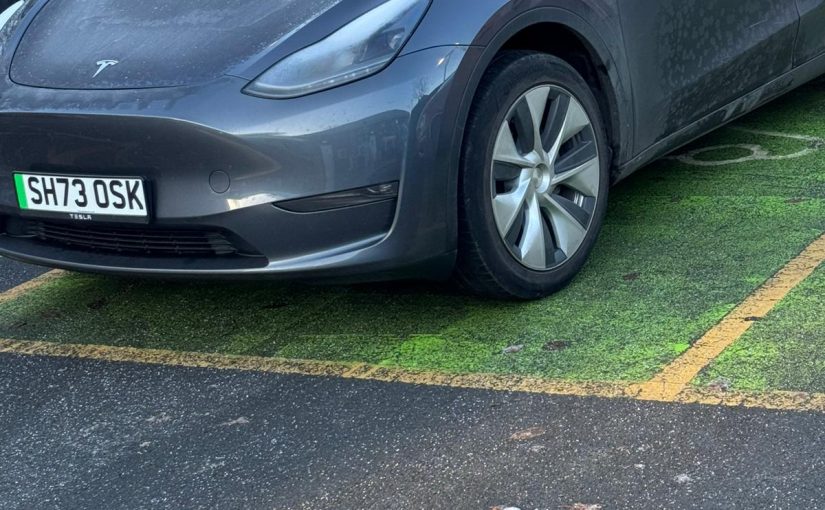 Tesla fügt sich in Vorreiterin Doris Lordin Mayas Muttergottes System ein